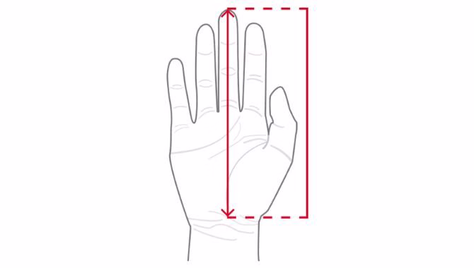 Diagram showing hand length for disposable glove sizing